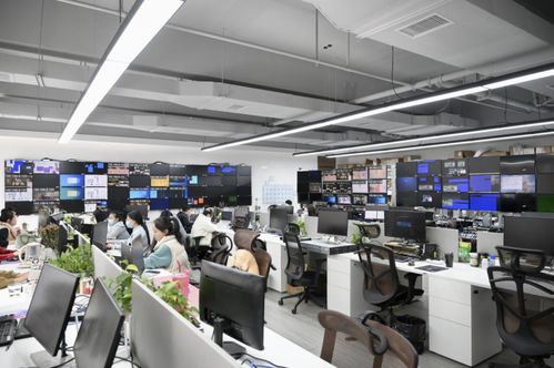 營收15 投入研發(fā),小鳥科技如何坐穩(wěn)國內(nèi)視聽領域 領頭羊