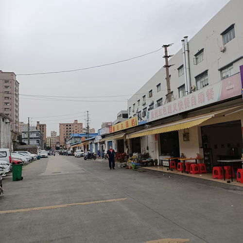 東莞轉型 從“世界工廠”到創新高地的蛻變之路