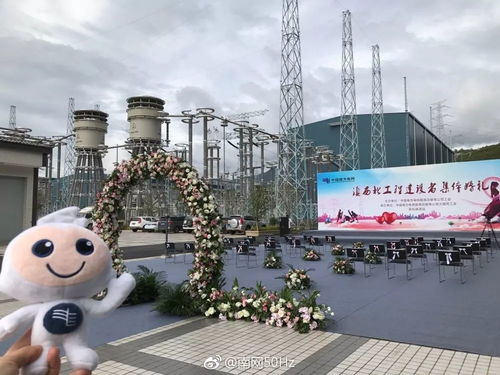 雪域高原見證愛情 世界海拔最高電力換流站舉行“美炸天”集體婚禮