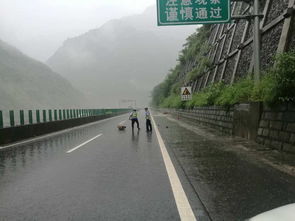 鹽津告急 彝良告急 大關(guān)告急 昭通市遭受強降雨襲擊,暴雨淹城...